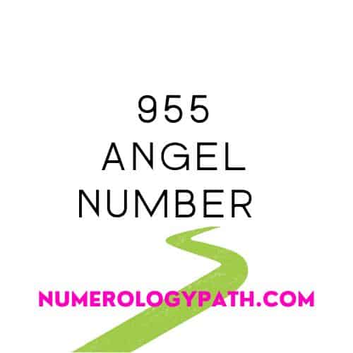 Angel Number 955  Numerology Path